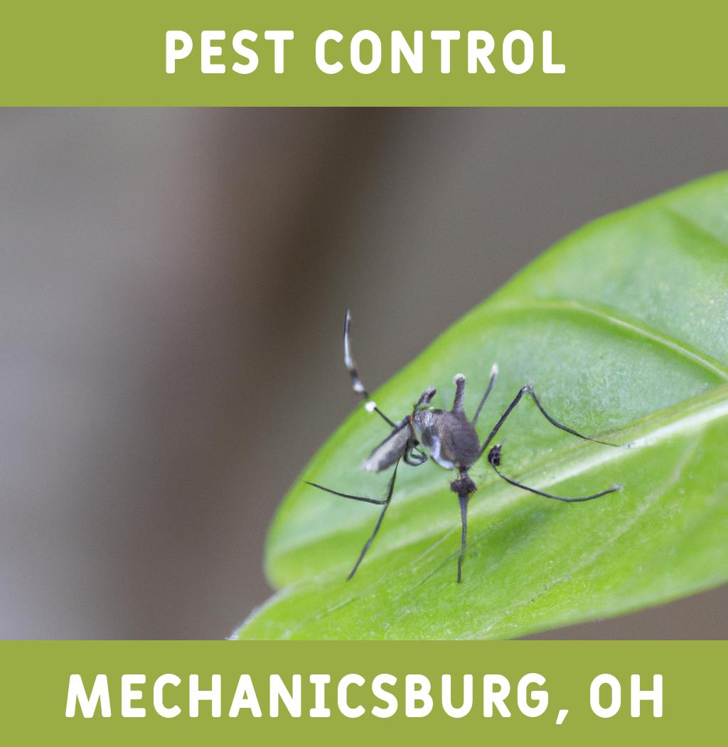 pest control in Mechanicsburg Ohio