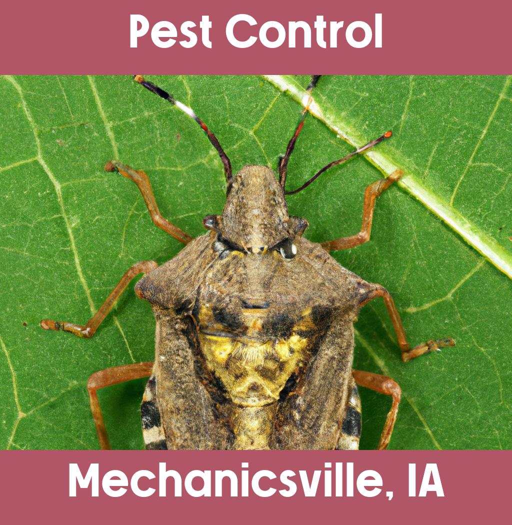 pest control in Mechanicsville Iowa