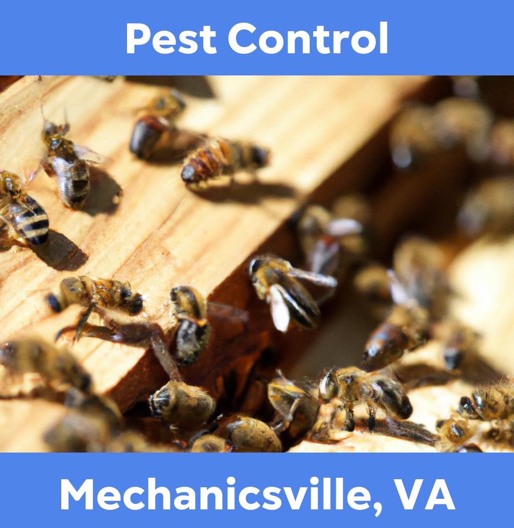 pest control in Mechanicsville Virginia
