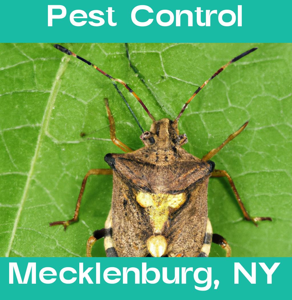 pest control in Mecklenburg New York