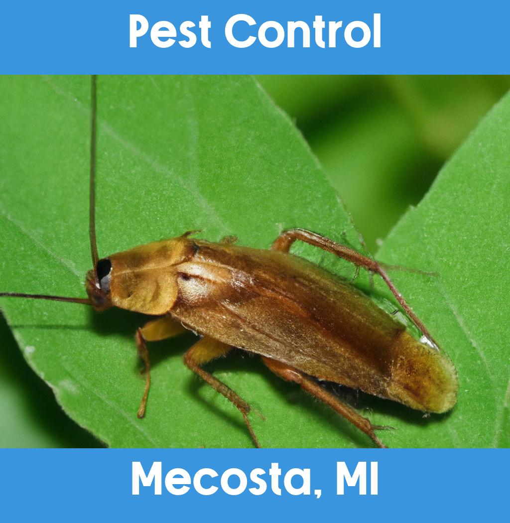 pest control in Mecosta Michigan