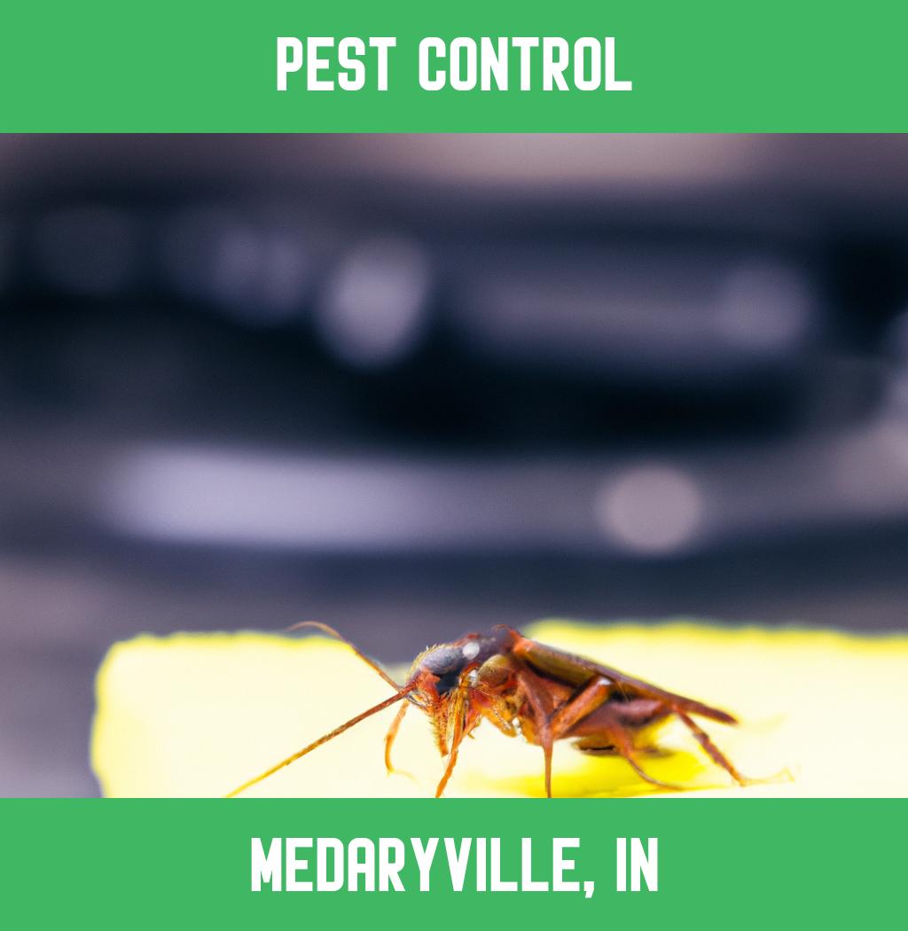 pest control in Medaryville Indiana