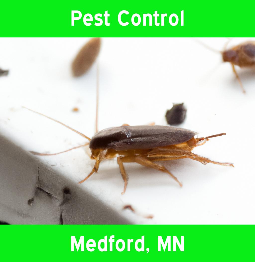 pest control in Medford Minnesota
