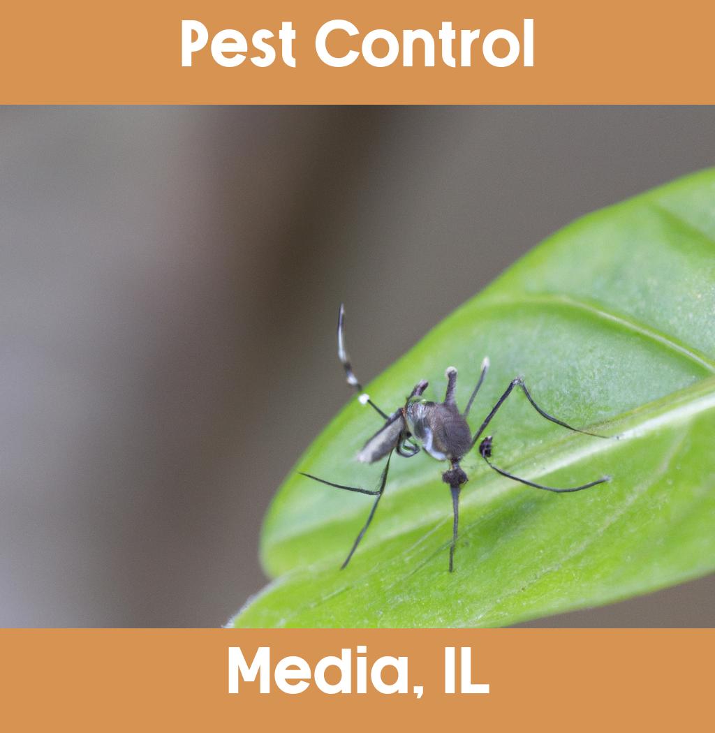 pest control in Media Illinois