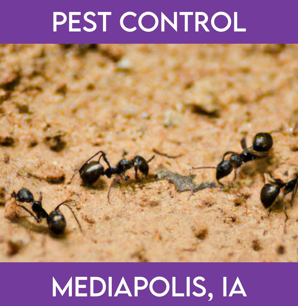 pest control in Mediapolis Iowa