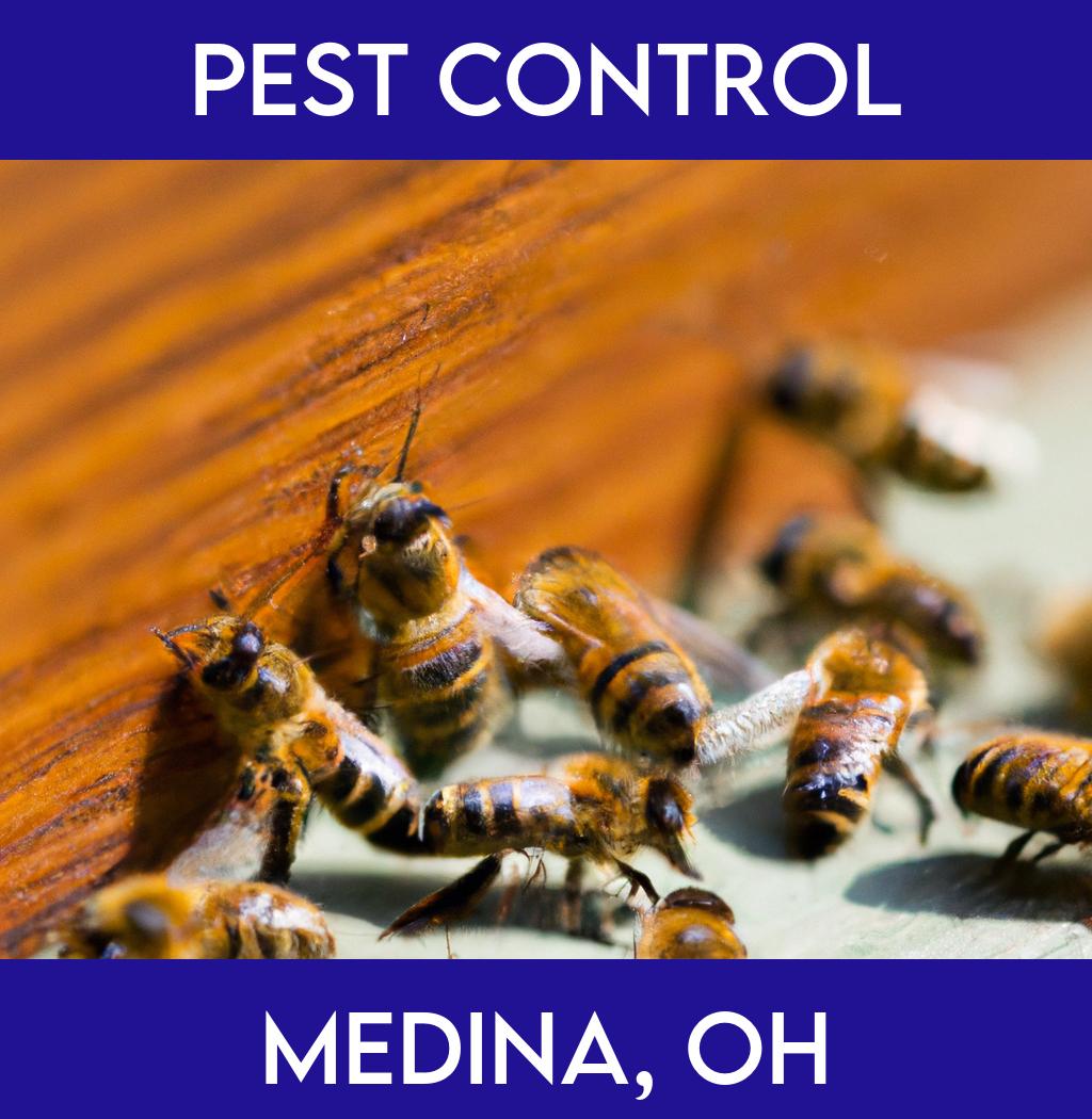 pest control in Medina Ohio