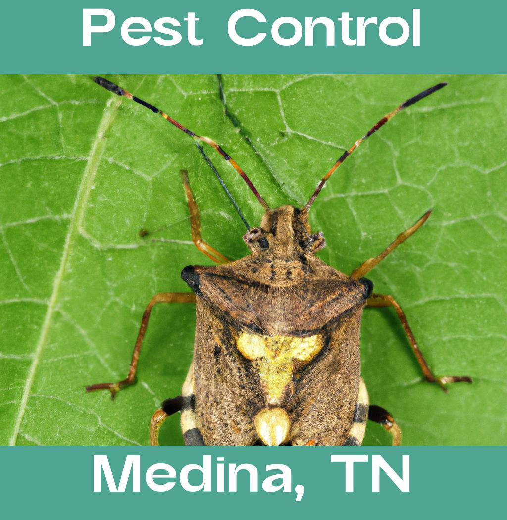 pest control in Medina Tennessee