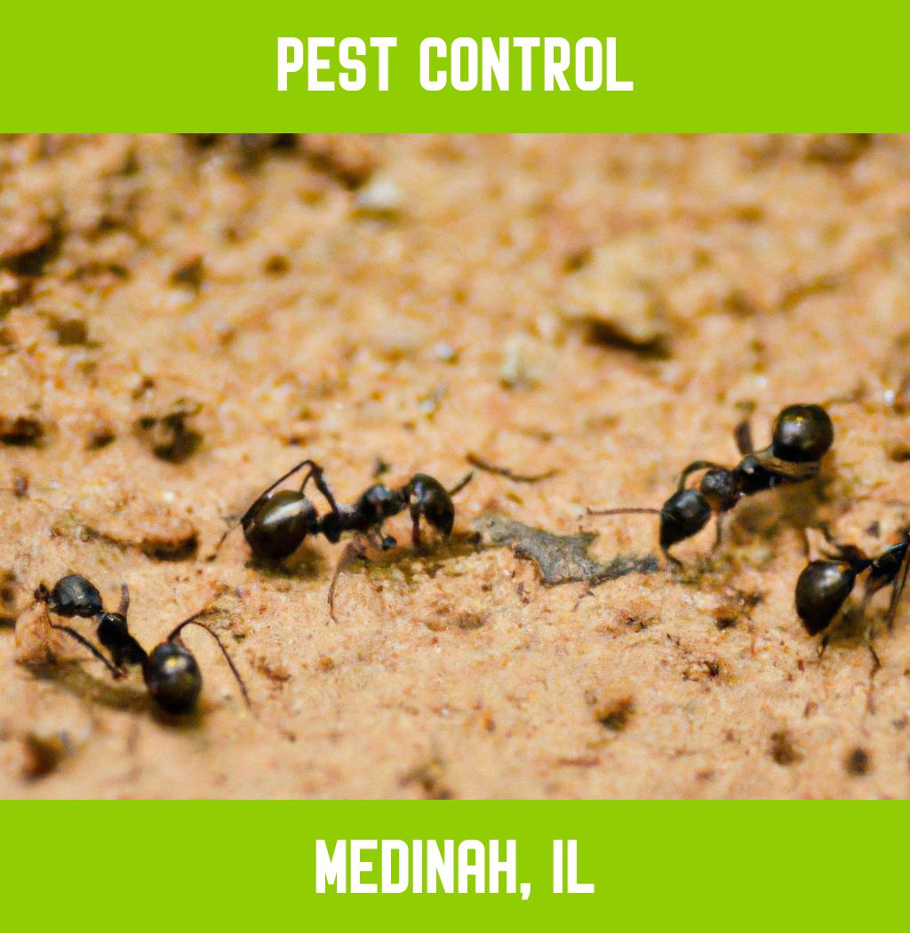 pest control in Medinah Illinois
