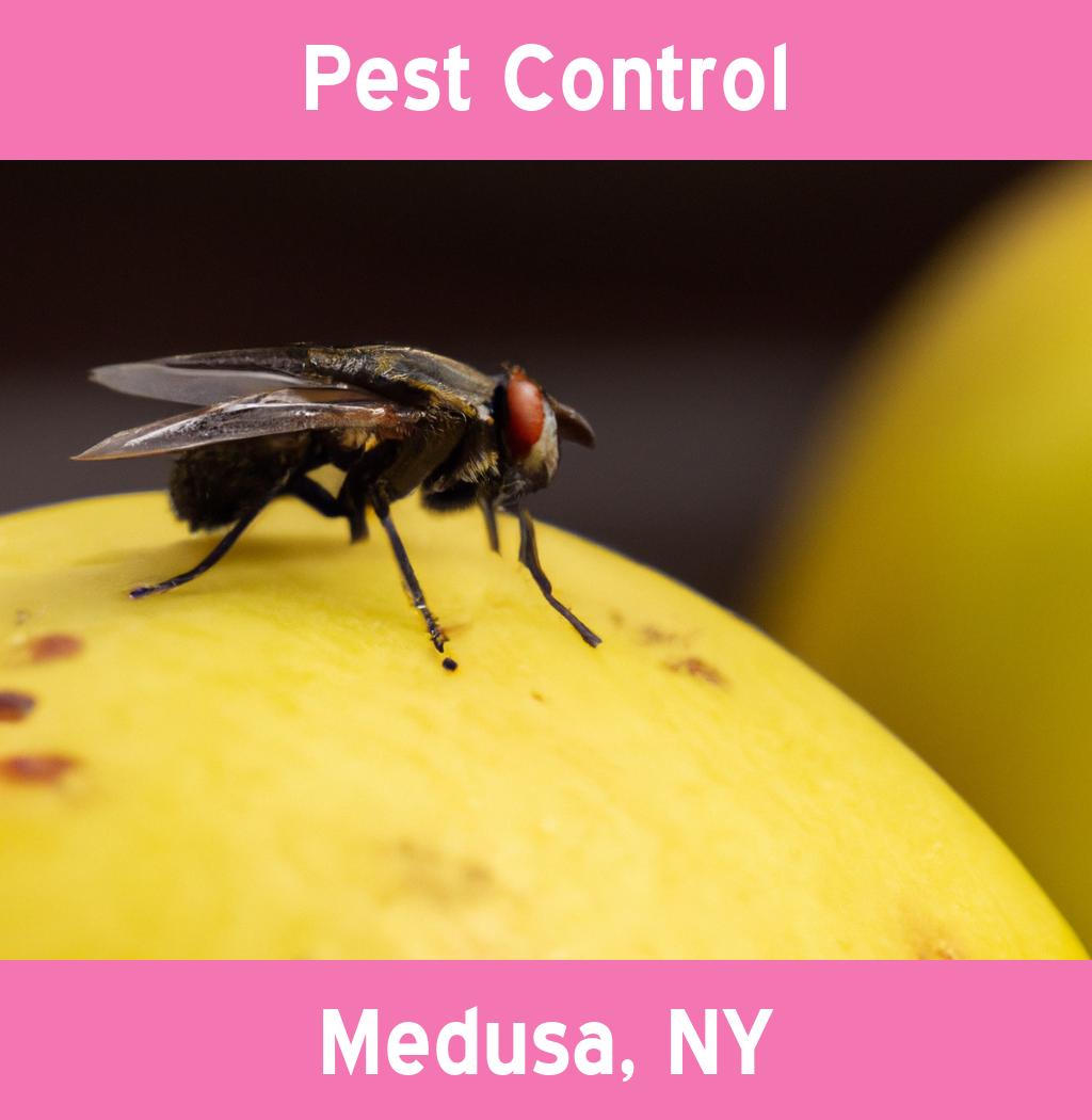 pest control in Medusa New York