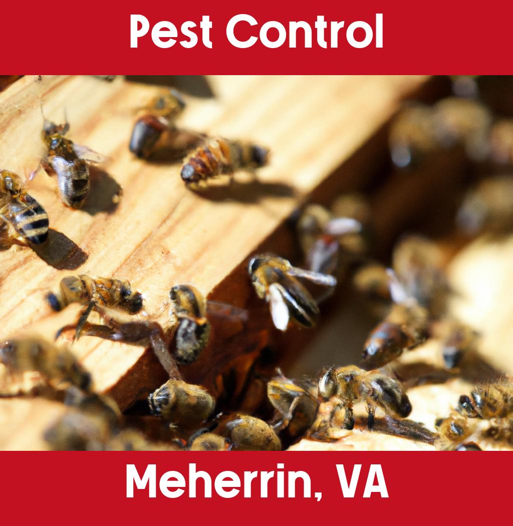 pest control in Meherrin Virginia