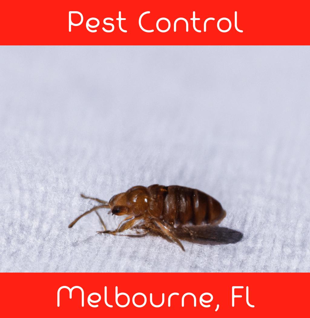 pest control in Melbourne Florida