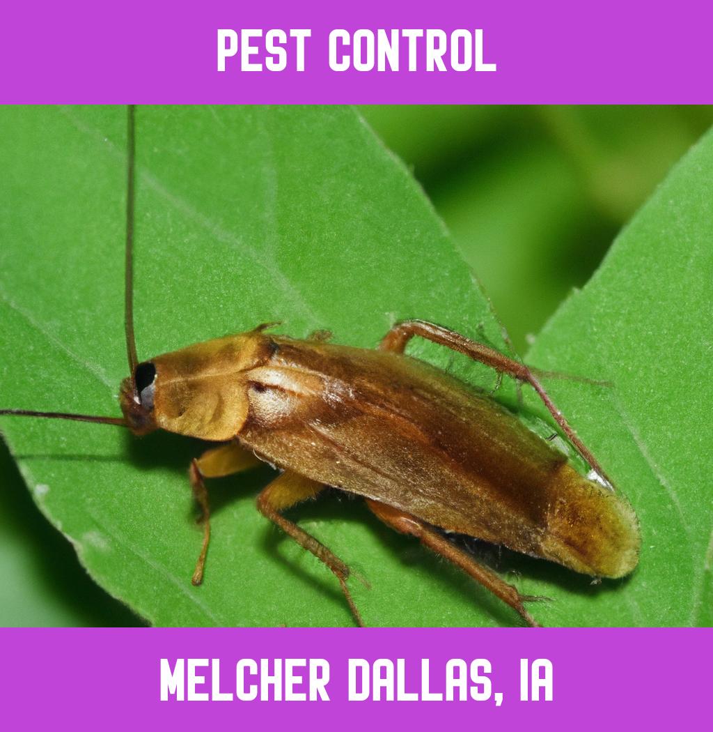 pest control in Melcher Dallas Iowa
