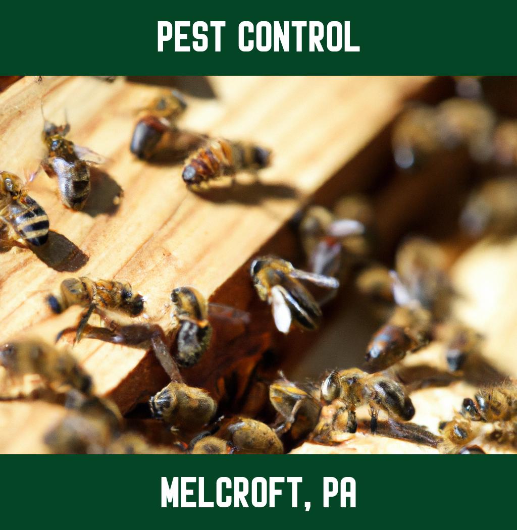 pest control in Melcroft Pennsylvania