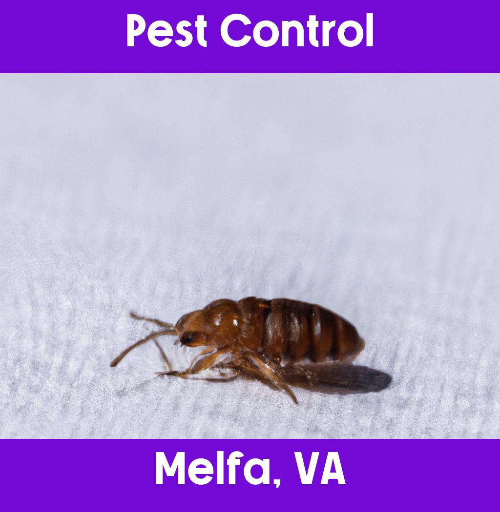 pest control in Melfa Virginia