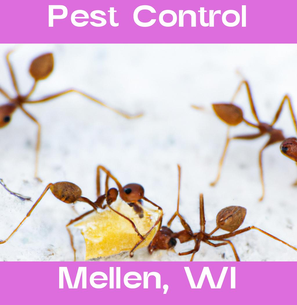pest control in Mellen Wisconsin