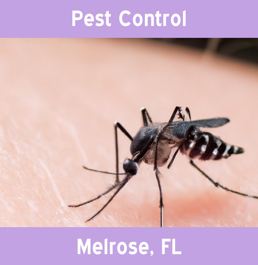 pest control in Melrose Florida