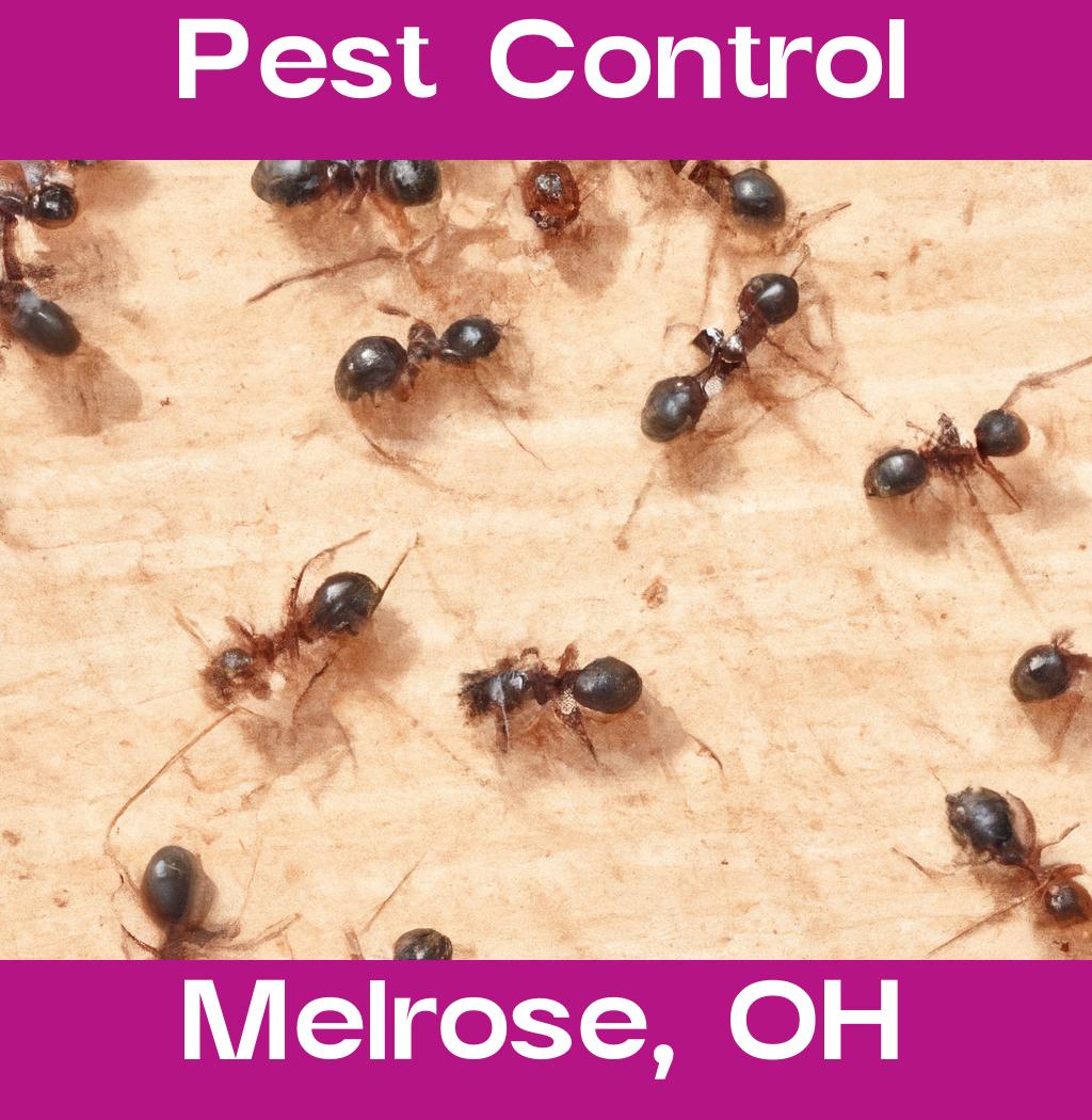 pest control in Melrose Ohio
