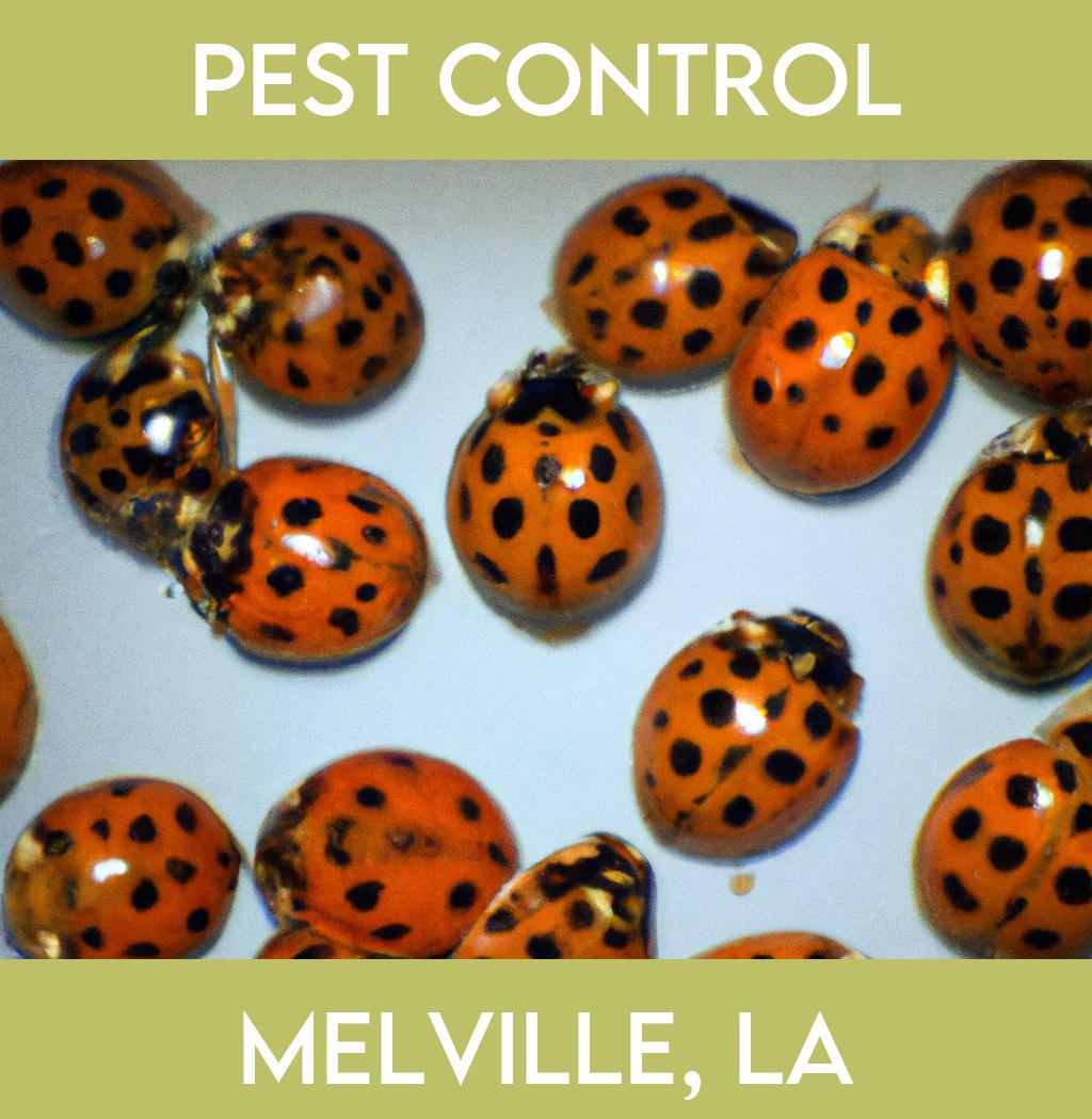 pest control in Melville Louisiana