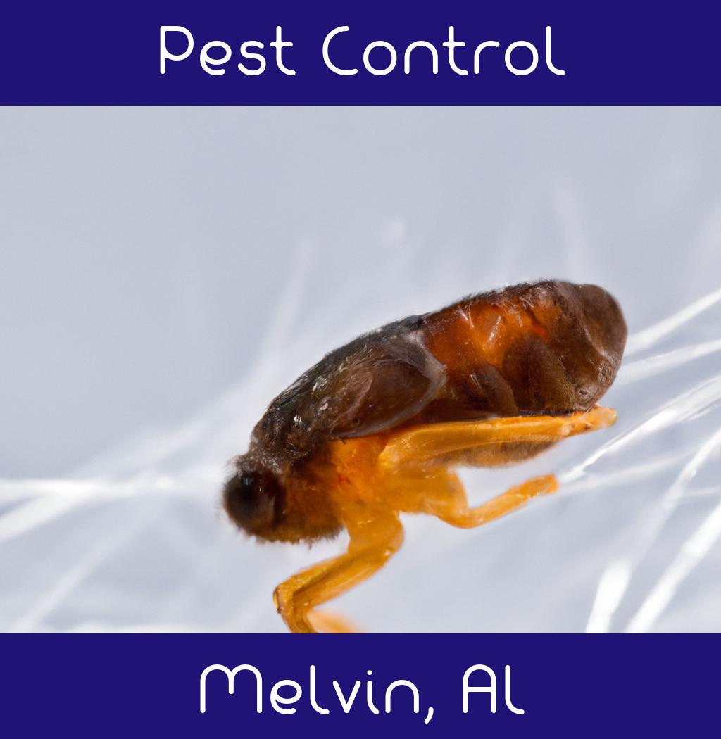 pest control in Melvin Alabama