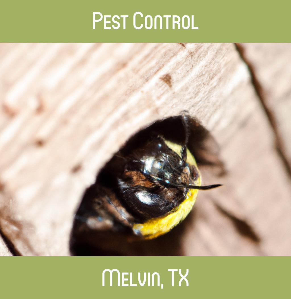 pest control in Melvin Texas