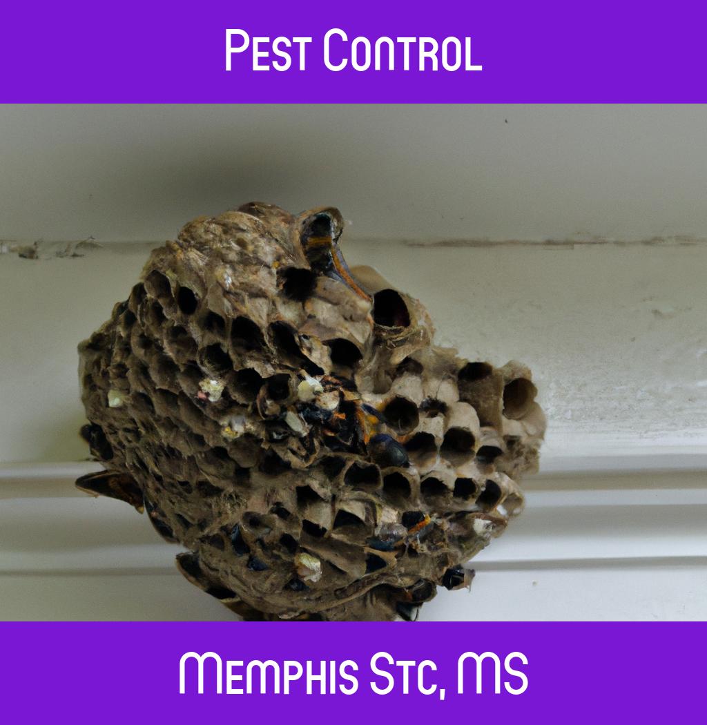 pest control in Memphis Stc Mississippi