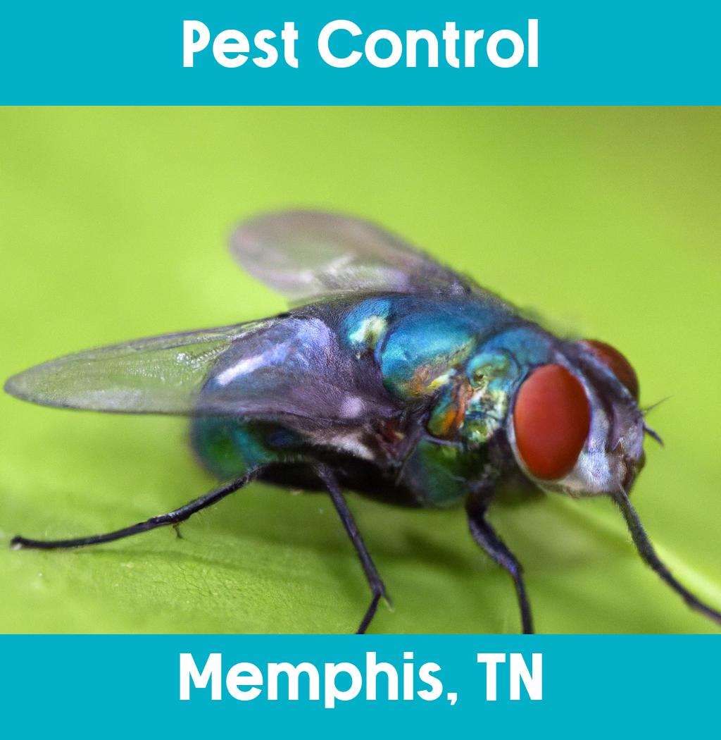 pest control in Memphis Tennessee