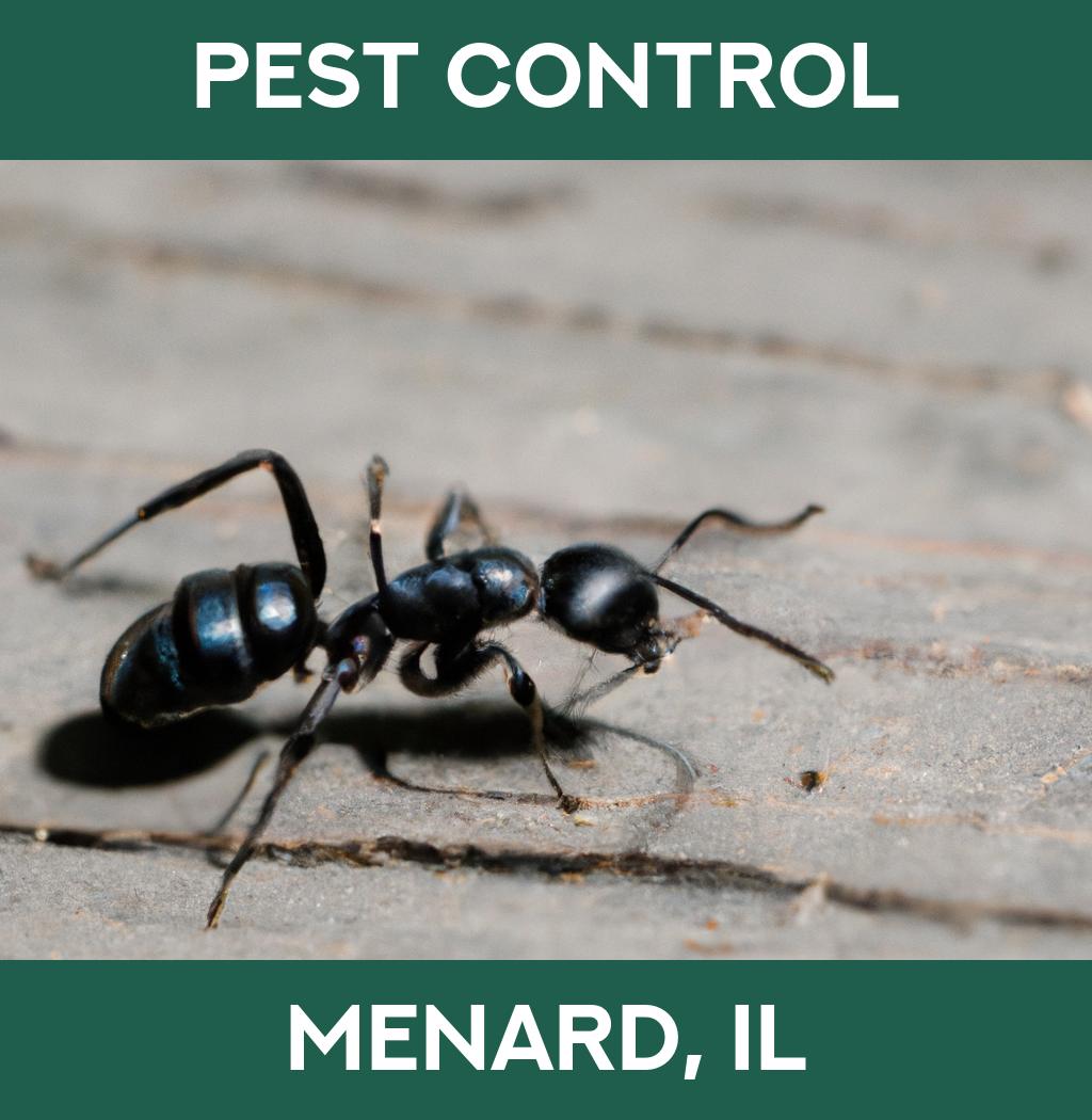 pest control in Menard Illinois