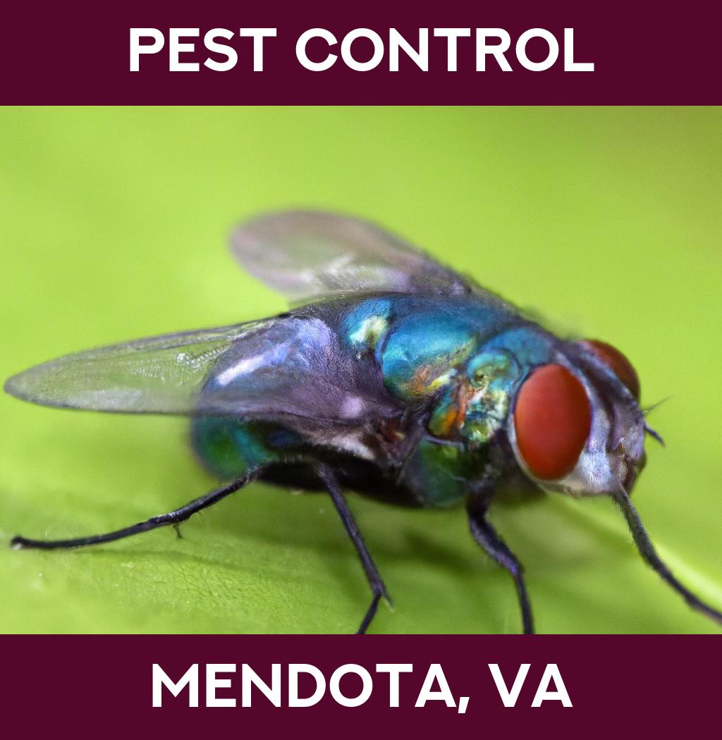 pest control in Mendota Virginia