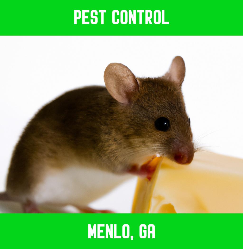 pest control in Menlo Georgia