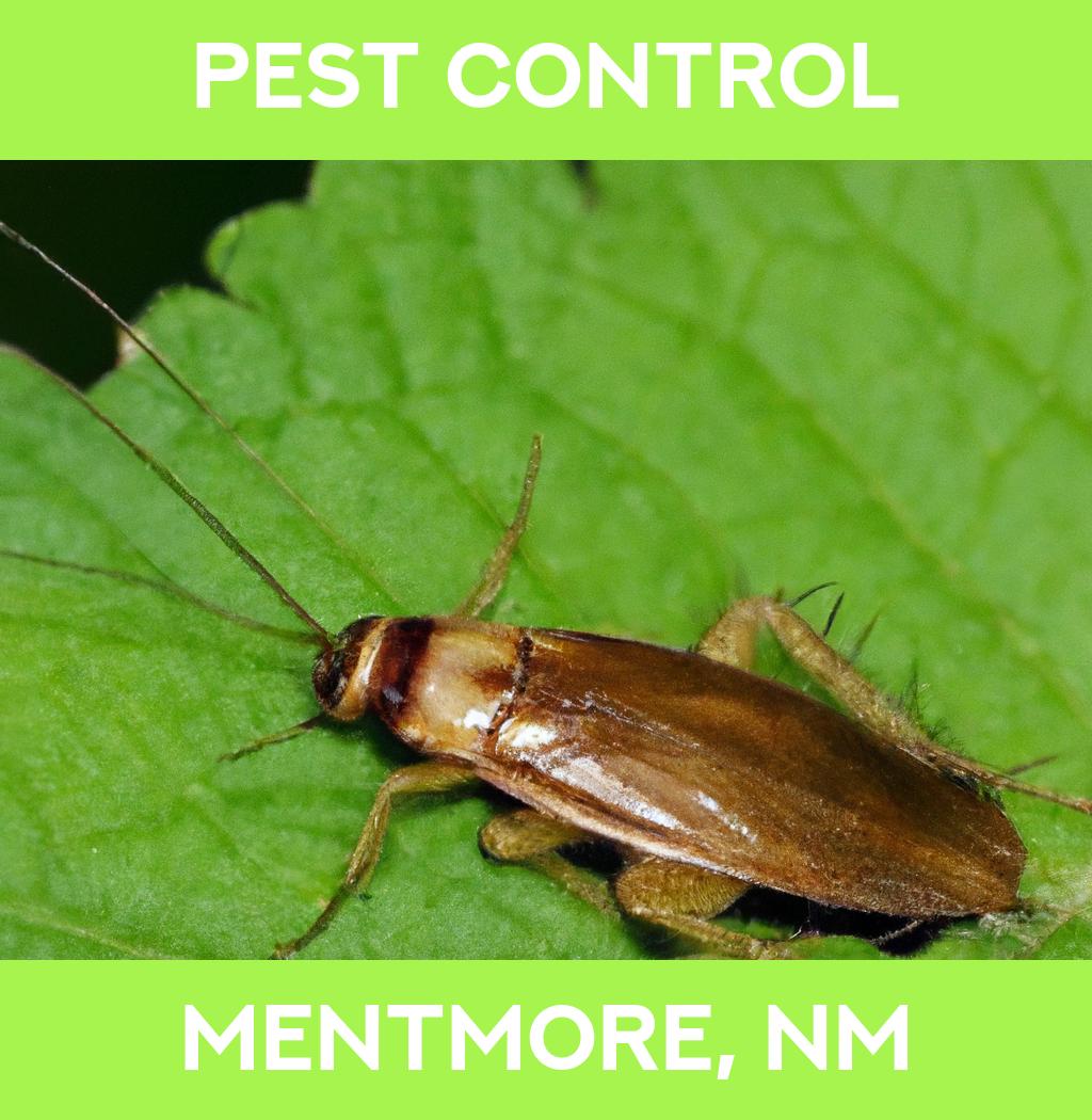 pest control in Mentmore New Mexico