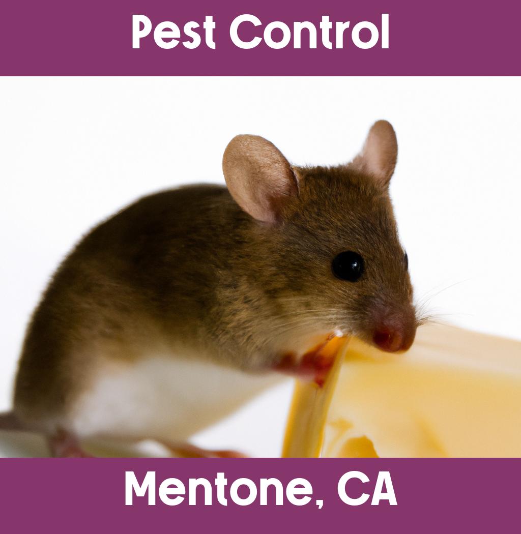 pest control in Mentone California