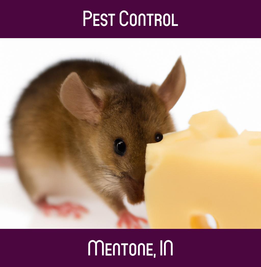 pest control in Mentone Indiana