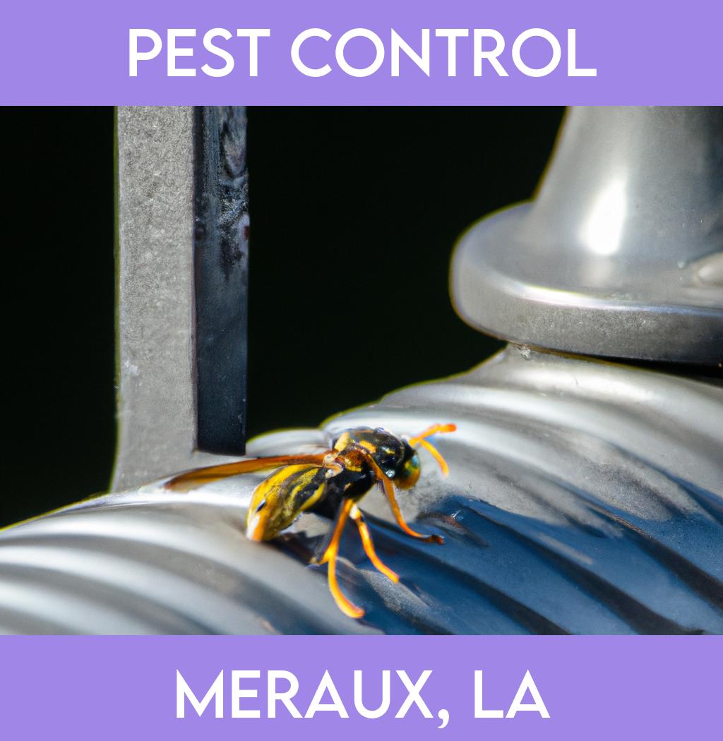 pest control in Meraux Louisiana