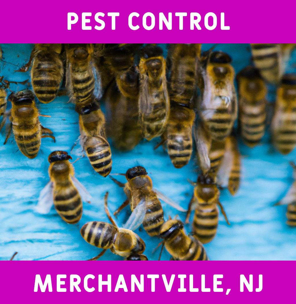 pest control in Merchantville New Jersey