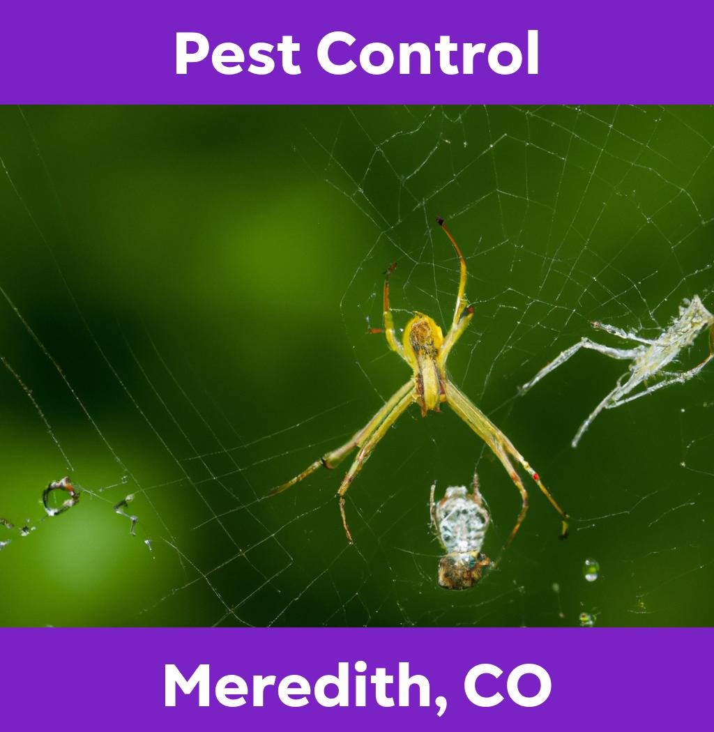 pest control in Meredith Colorado
