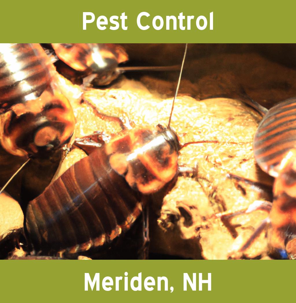 pest control in Meriden New Hampshire