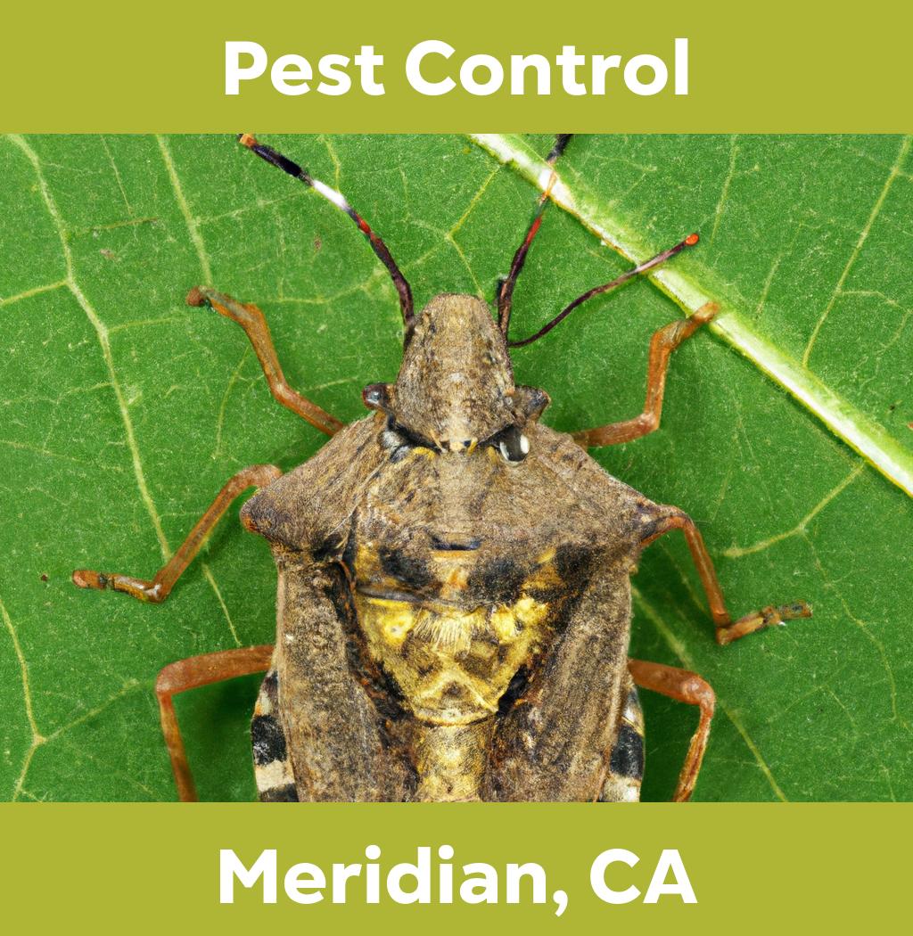 pest control in Meridian California