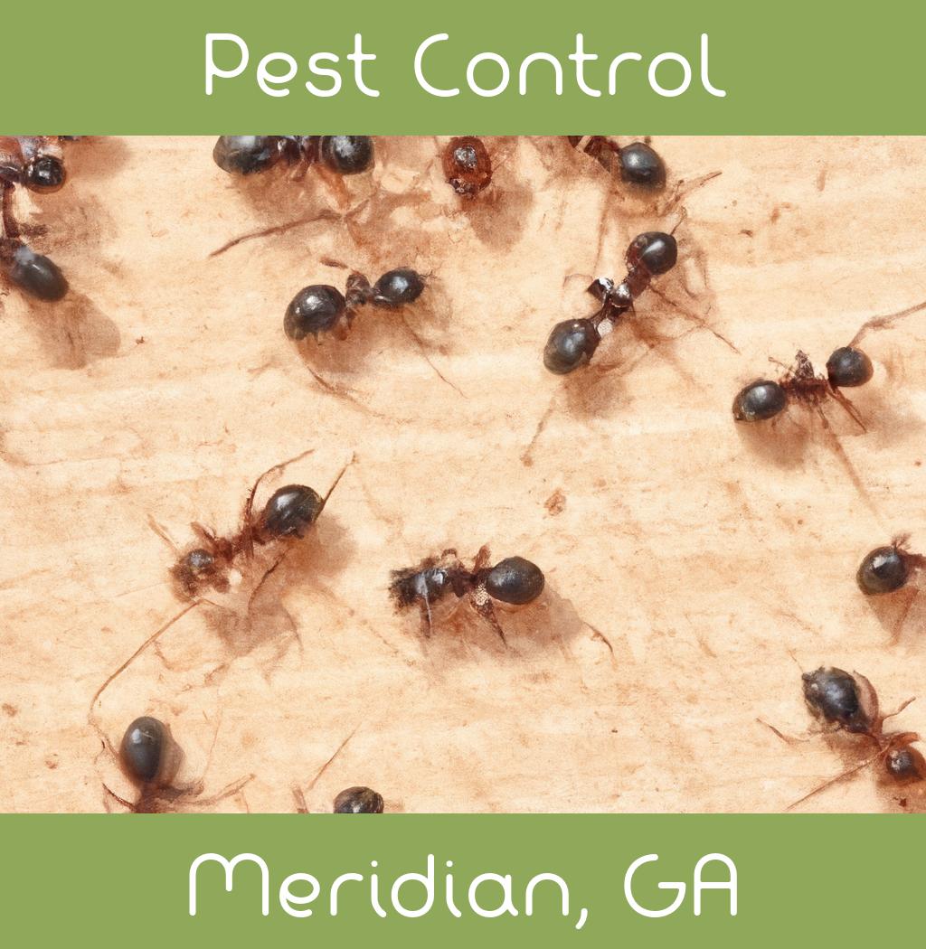 pest control in Meridian Georgia