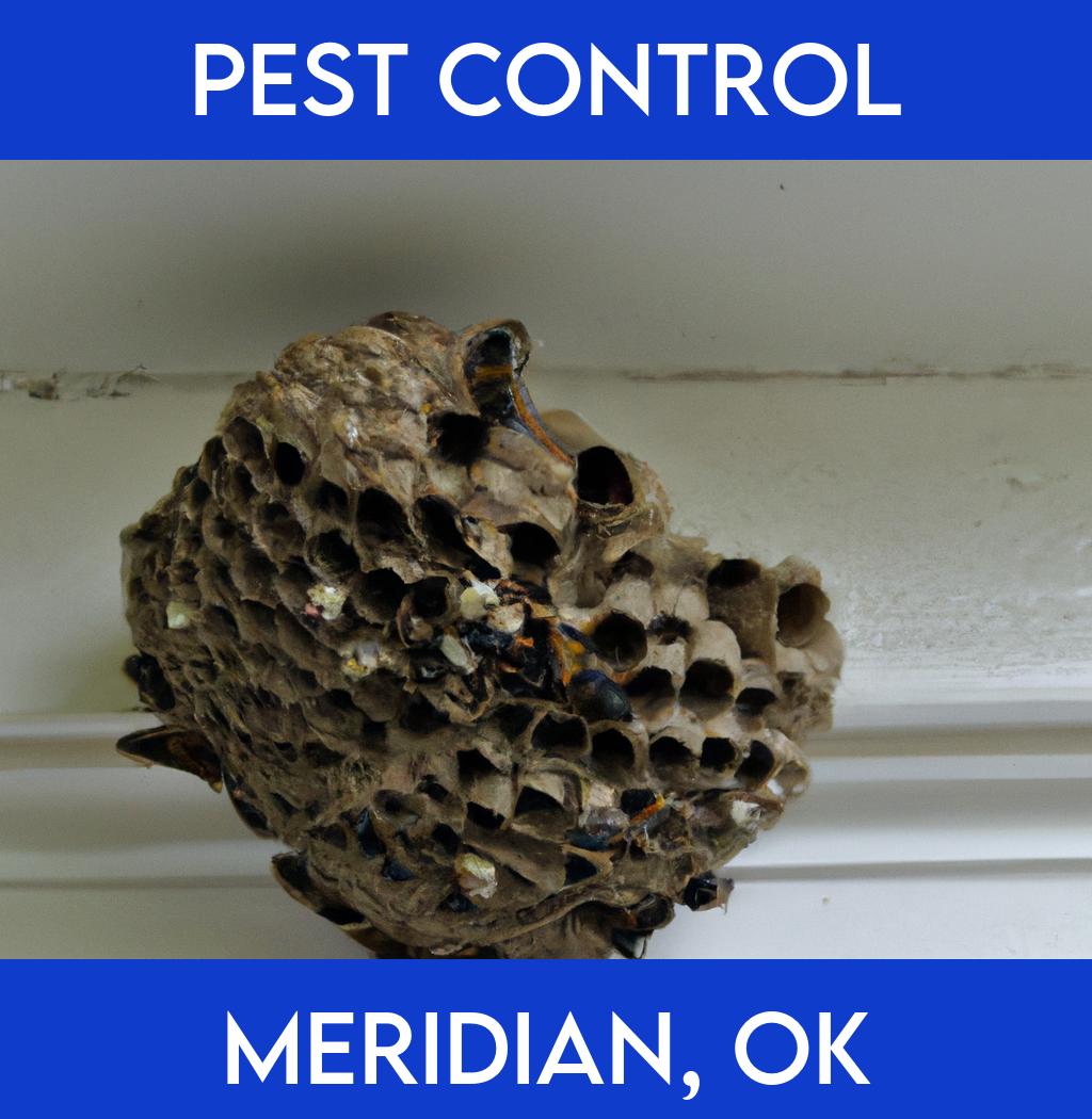 pest control in Meridian Oklahoma