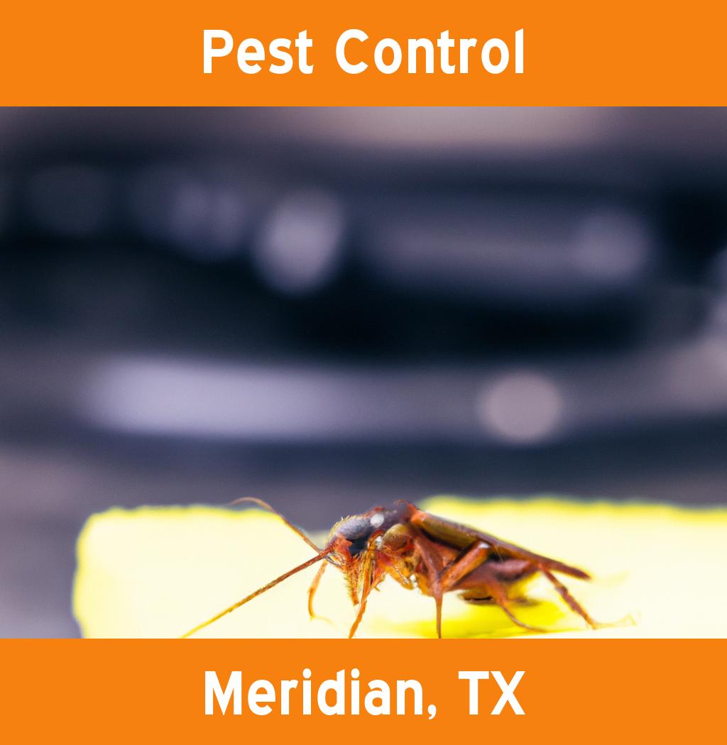 pest control in Meridian Texas