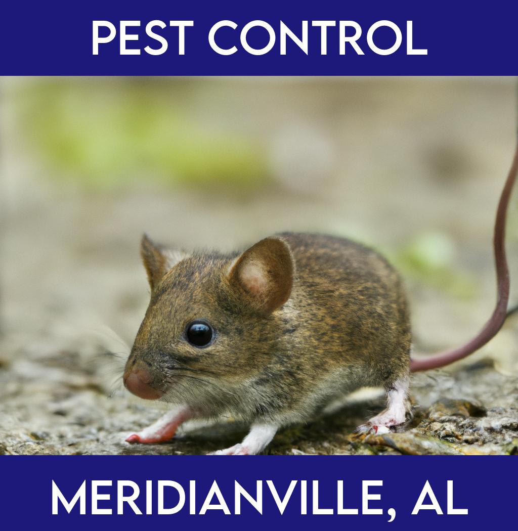 pest control in Meridianville Alabama