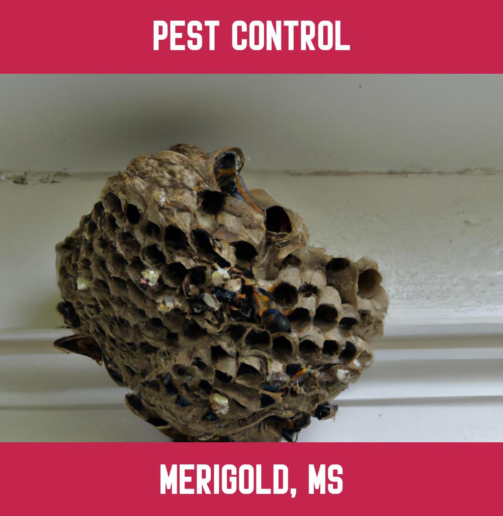 pest control in Merigold Mississippi