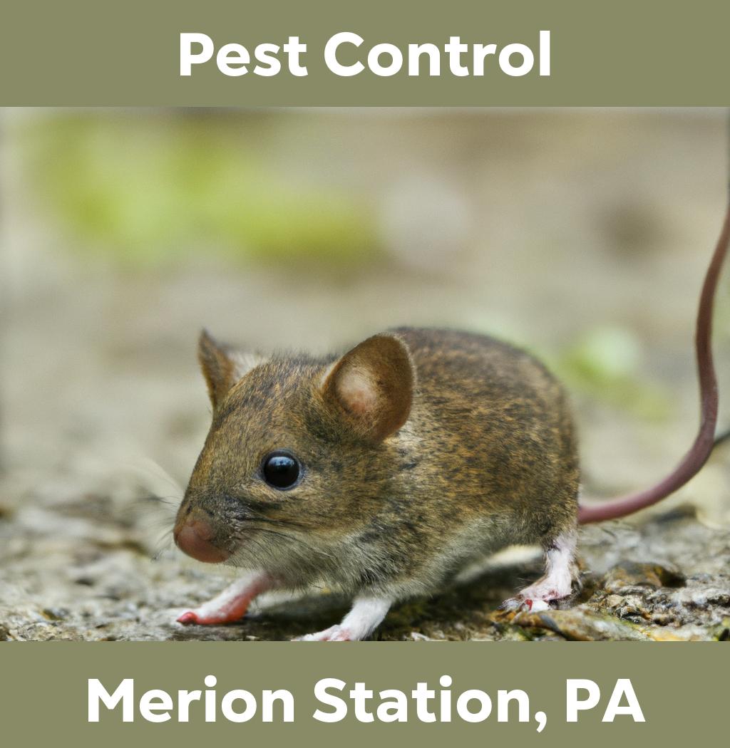 pest control in Merion Station Pennsylvania