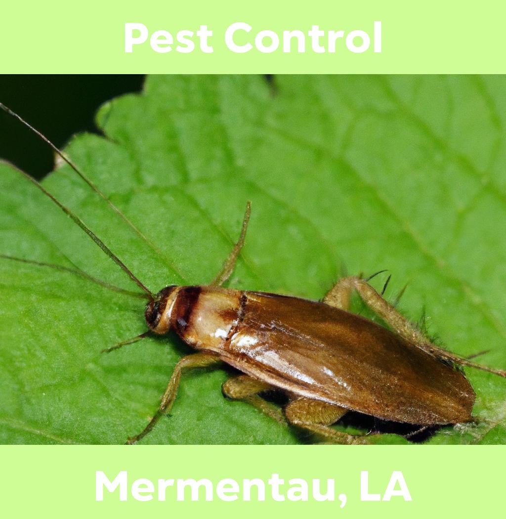 pest control in Mermentau Louisiana