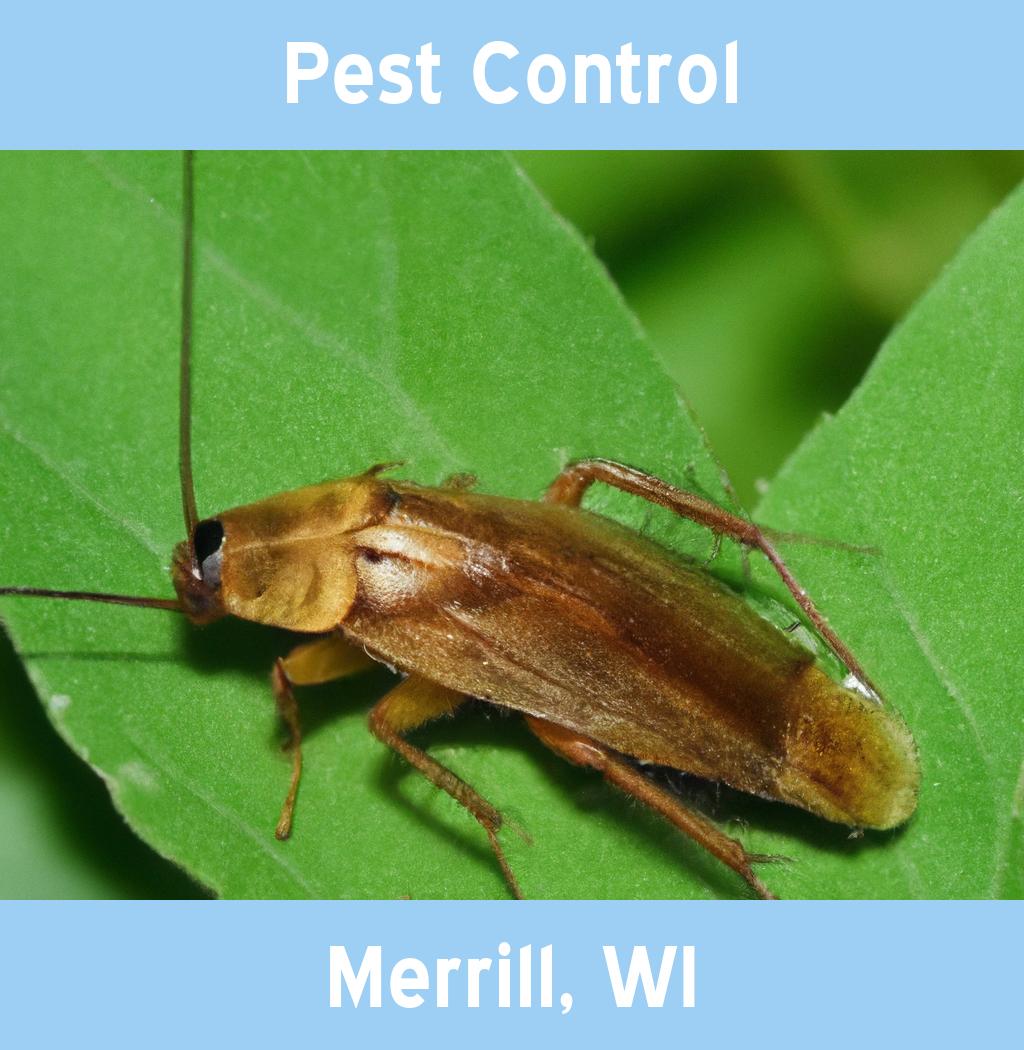 pest control in Merrill Wisconsin