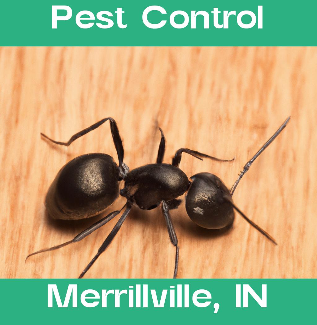 pest control in Merrillville Indiana