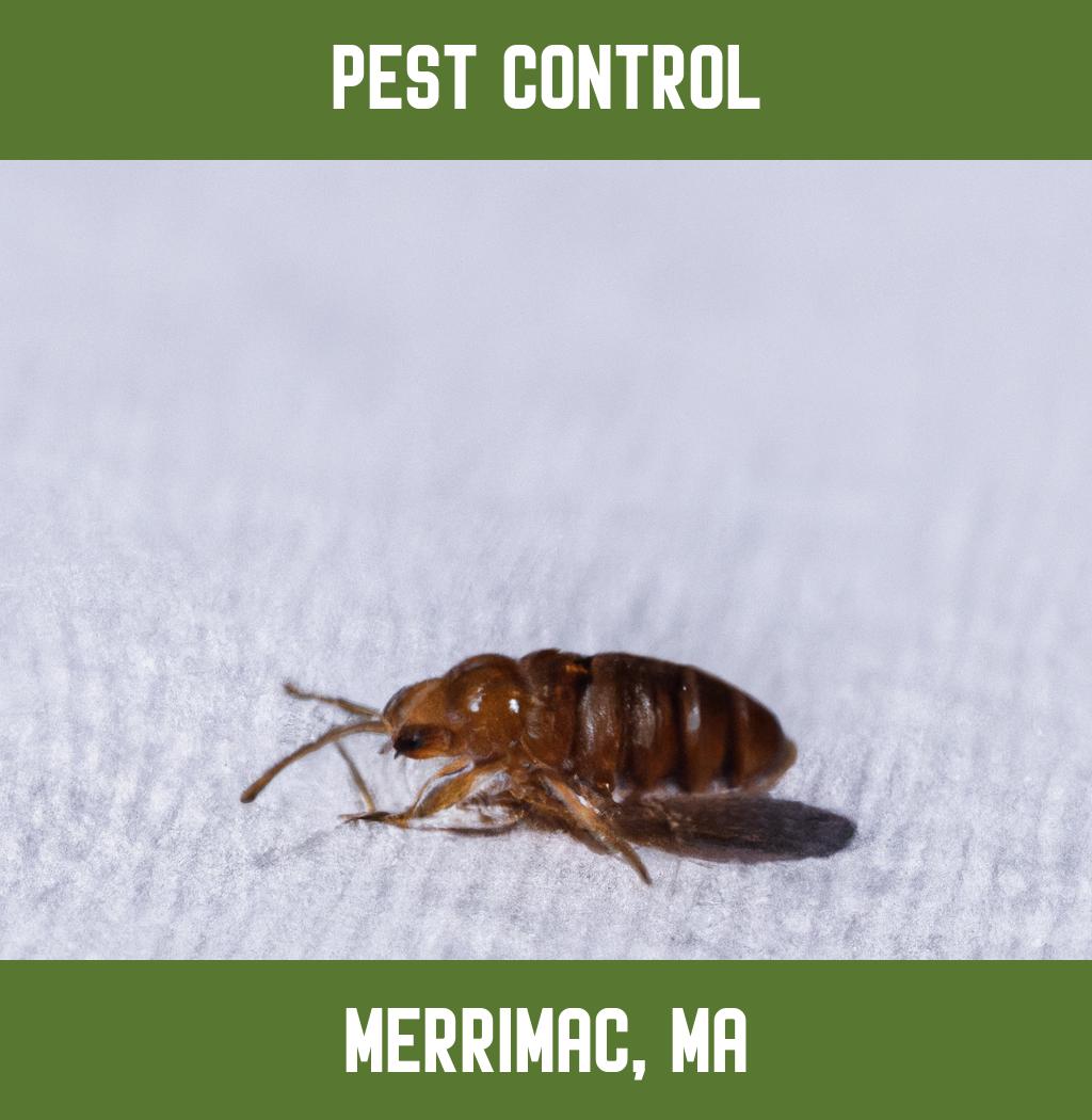 pest control in Merrimac Massachusetts