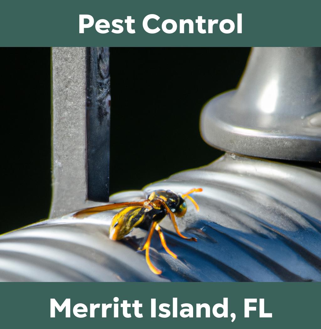 pest control in Merritt Island Florida