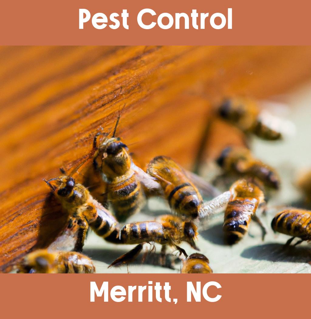 pest control in Merritt North Carolina