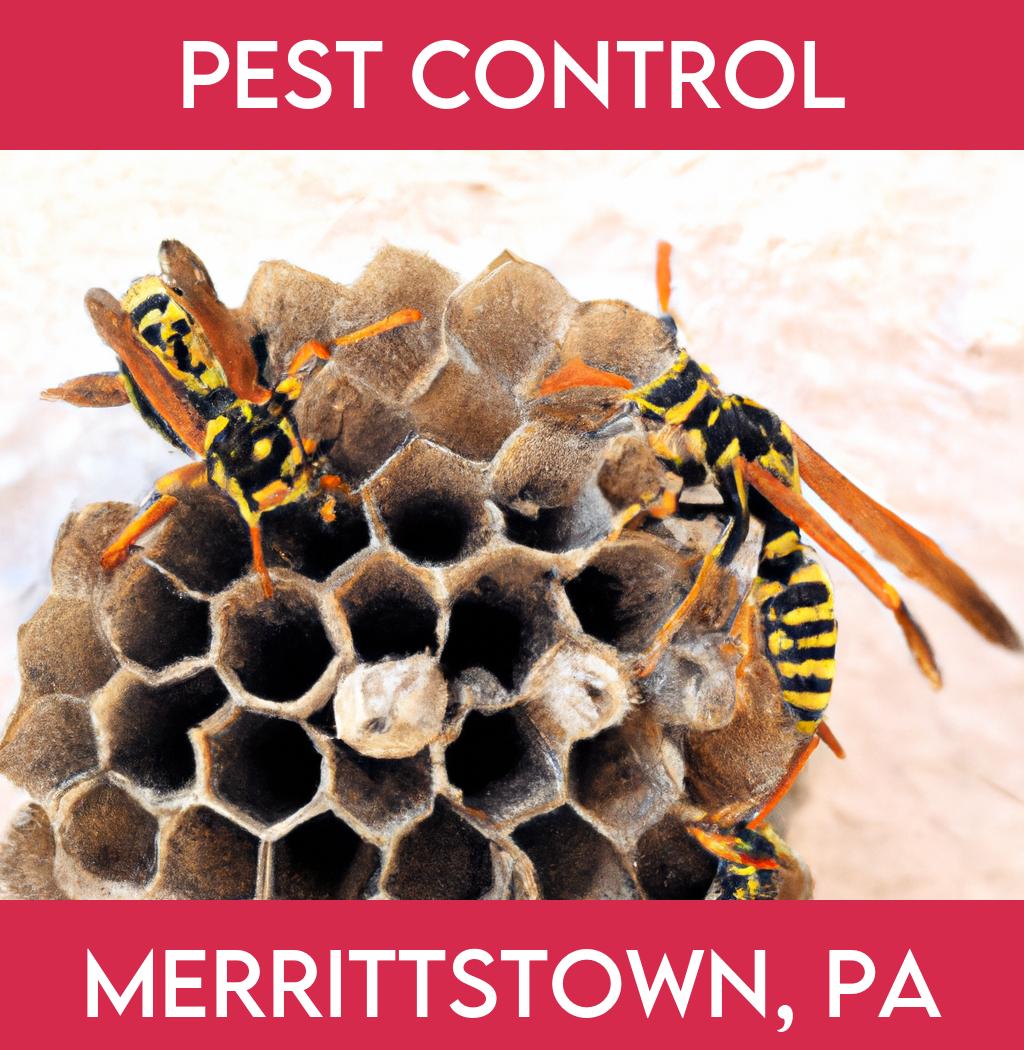 pest control in Merrittstown Pennsylvania